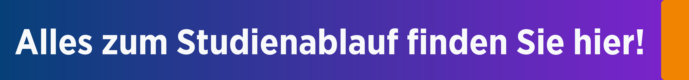 Hier über den Ablauf des Studiums informieren!